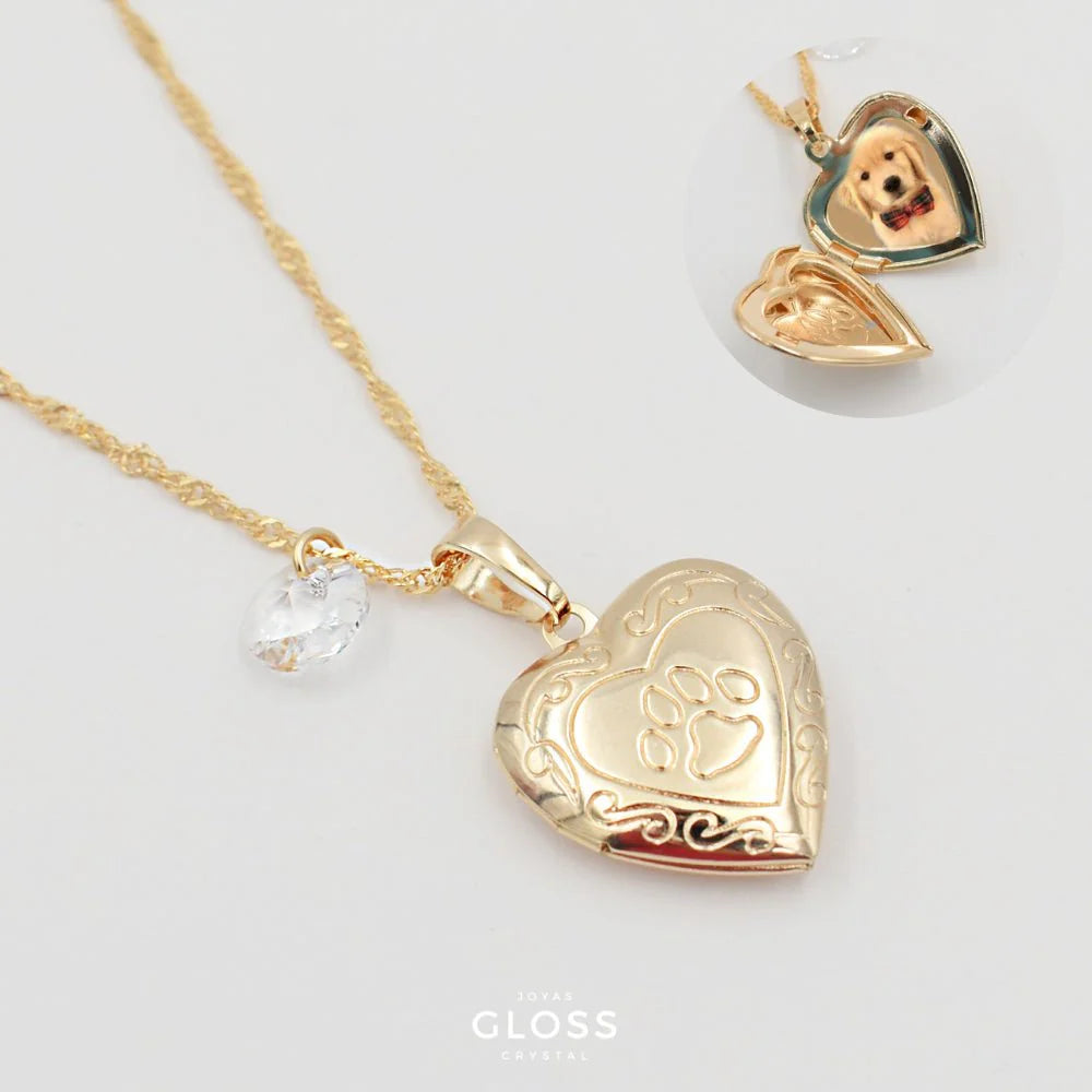 Collar Relicario Mascota Oro - Joyas Gloss Crystal